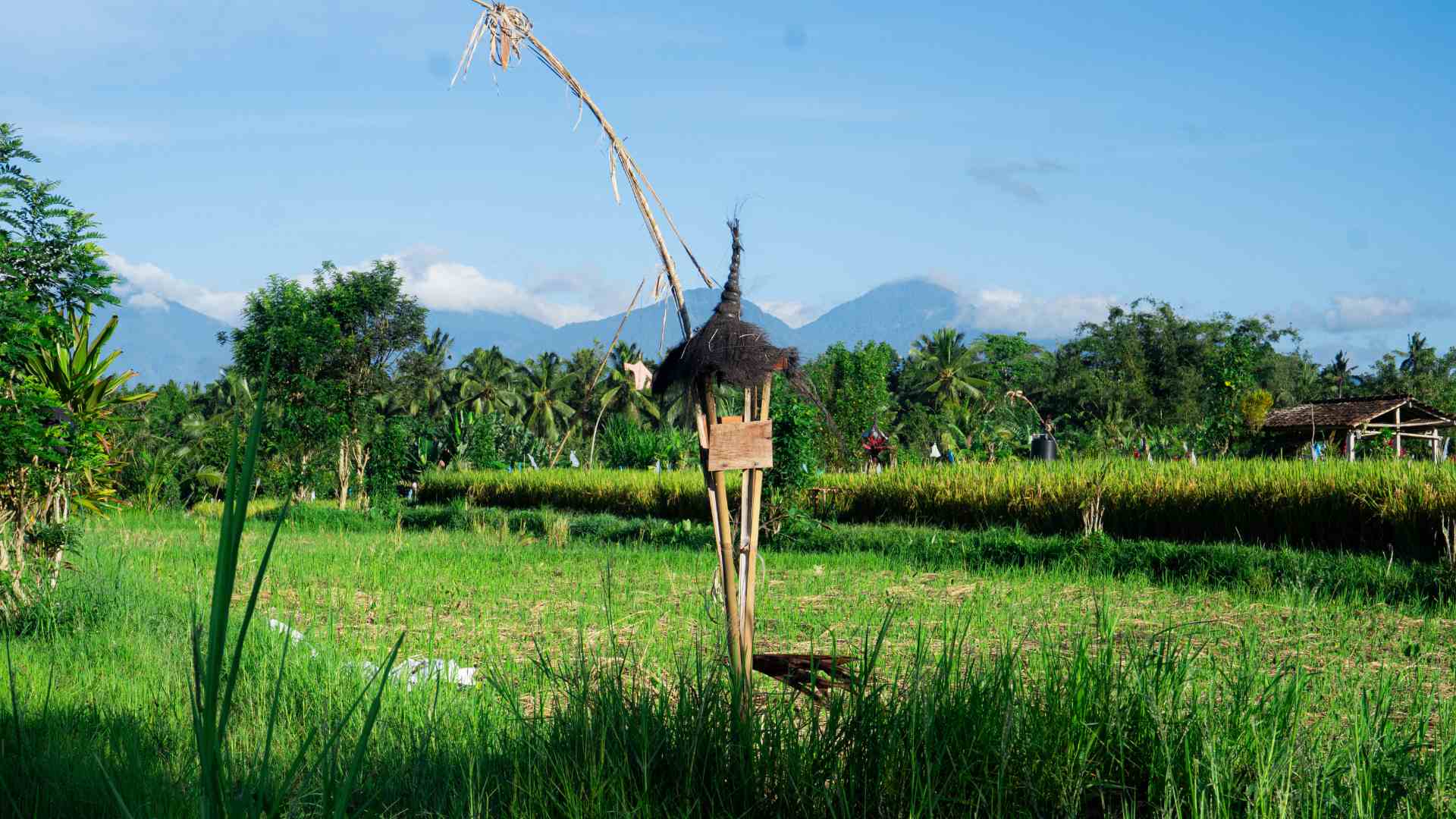 gallery-img